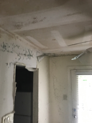 another photo of a room with mold